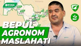 AGRONOM MASLAHATI - hududingizdagi agronom maslahatini oling! | IFODA AGRO