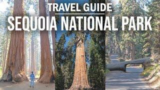 BEST Hikes in Sequoia National Park 2024 | Complete Travel Guide