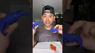 EATING RARE BLUE CRAWFISH