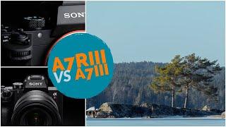 Sony A7Riii vs Sony A7iii for Landscapes | 2018