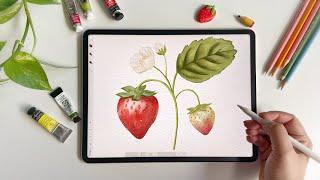 Mastering Watercolors in Procreate | New Skillshare Class Trailer