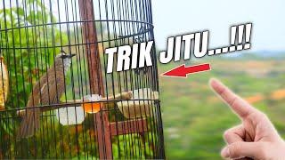 Trik menjinakan TRUCUK bahan Paling jitu part2‼️