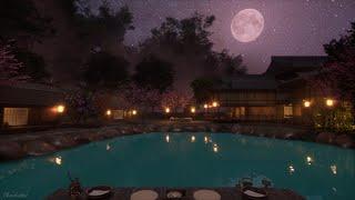Hot Spring Ambience In The Forest With The Full Moon | Water, Crickets, Owl Sounds, Nature Sounds