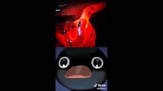 Pingu Meme Compilation Noot Noot