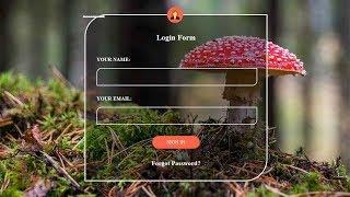 How To Create a Transparent Login Form Using HTML and CSS