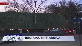 It's here! Capitol Christmas tree arrives in DC