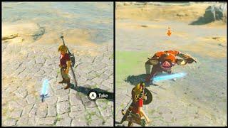 Bokoblin Steals the Master Sword! | Zelda: Breath of the Wild