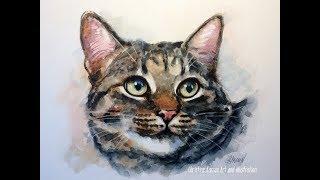 Cat Watercolor portrait REAL TIME painting demo by Ch.Karron