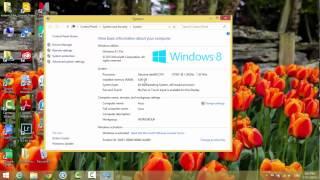 Windows  8.1 System Information