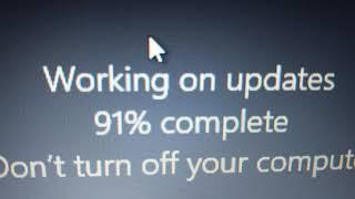 Windows 10 Update Stuck At 91% (Everything worked out fine)