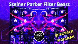 Steiner Parker Filter module for Eurorack MFE303 Black Edition VCF EQ modular synthesizer / Tronix