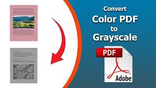 How to convert color a pdf to grayscale using Adobe Acrobat Pro DC