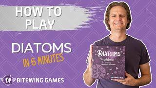 How to Play Diatoms