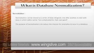 what is database normalization? | Database Training from Wingslive