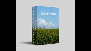 [ NEW DRUMKIT ] Aesthetic Sample Pack Vol. 1 (RARE SOUNDS USED BY FLATBUSH ZOMBIES AND NAV)