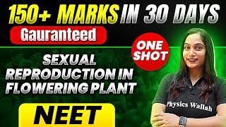 150+ Marks Guaranteed: SEXUAL REPRODUCTION IN FLOWERING PLANT | Quick Revision 1Shot | Botany