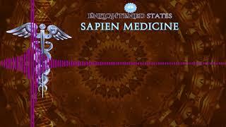 Uplift Yourself, People you meet and the world by Sapien Medicine ver2.0