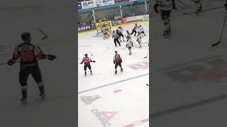 Hockey Bench Clearing Brawl after the end of the game ! #hockey #qc #brawl #lnah #hockeyfight #final