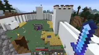 Last Life SMP - Etho/Bdubs mega cut