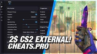 A 2$ EXTERNAL CS2 CHEAT? | cheats.pro