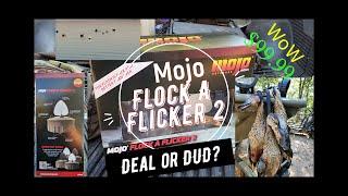 Mojo Flock A Flicker 2 - Is it Worth it....?