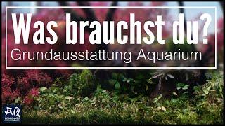 Einsteiger Aquarium Guide (diese Dinge brauchst du wirklich für ein Aquarium) | AquaOwner