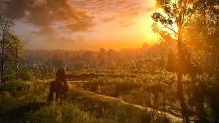 The Witcher 3 (FULL RELAXING MUSIC COMPILATION) | Mankai [Music and Ambience]