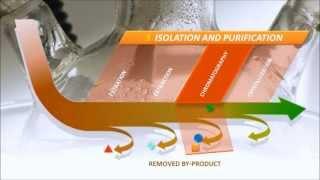 Making molecules (Steps in a process of chemical synthesis) IQOG-CSIC