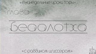 Урок №1 по недельной главе Беаалотха: "Светить всегда, светить везде..."