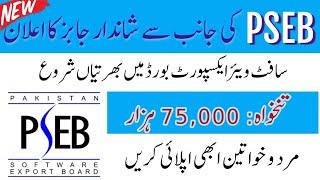 Pakistan software export board PSEB jobs 2024 - Today Government Jobs in Pakistan @CitizenJobs