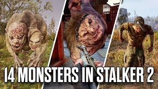 Stalker 2 - All 14 Monsters (Mutants) Gameplay