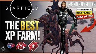 The INFINITE Starfield XP Farm You'll Actually Enjoy... NO OUTPOST REQUIRED!