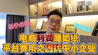 电商利润薄如纸：平台费用对中小企业造成巨大负担？揭秘真相！|Bjorn Gan