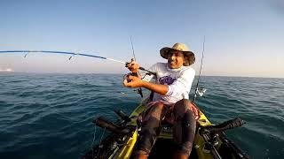 Trolling live trevallies for King Mackerel on a kayak outside of Palm Jumeirah island
