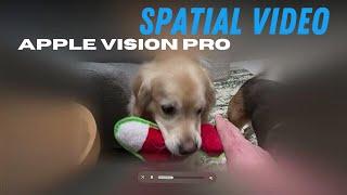 Apple Vision Pro: Spatial Video