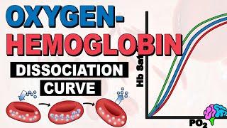 The Oxygen Hemoglobin Dissociation Curve EXPLAINED!
