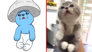 Cat Memes: Blue Smurf Cat ‍⬛ and Funny Animal Videos 2023