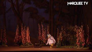 Jemima Puddle Duck| Frederick Ashton's The Tales of Beatrix Potter | Marquee TV