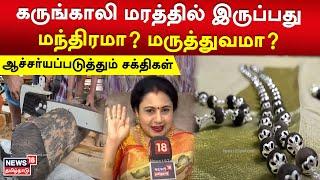 கருங்காலி மரத்தில் இருப்பது மந்திரமா? மருத்துவமா? ஆச்சர்யப்படுத்தும் சக்திகள் | Karungali Tree| N18V