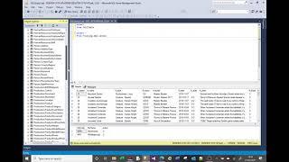 MS SQL tutorial covering working with multiple databases. Including schema introduction and USE.