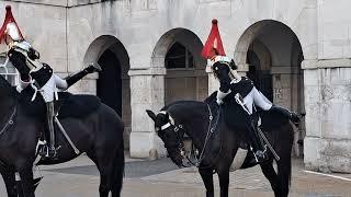 Horse farts End of day inspection    #horseguardsparade