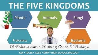 5 Kingdom Classification - GCSE Biology (9-1)