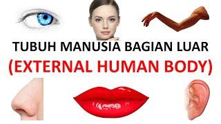 [VOCABULARY] Learn External Human Body Parts in Indonesian Language