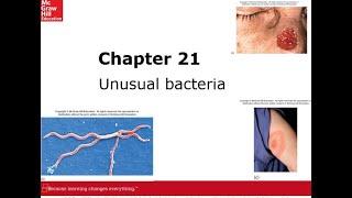 Ch 21 unusual bacteria