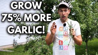 PRO Gardeners Tips to MASTERING GARLIC Growth: Increase Your Yield by 75%!