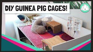 Guinea Pig Indoor C&C and DIY Cages | Build and Design Your Own Custom Cage!