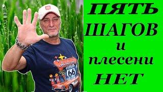 Пять шагов к успеху. Эпизод 1. Зеленый босс.