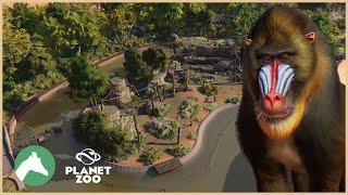 Mandrill Island | Desert Adventure Park | Planet Zoo