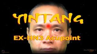 EX-HN3 | Yintang Acupoint | Third-Eye Chakra | Acupressure VIKUDO