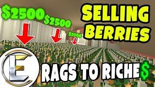 SELLING LOTS OF BERRIES | Unturned Roleplay (Rags to Riches #53)